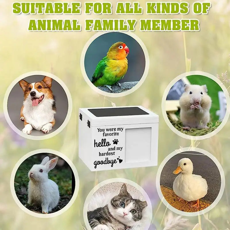 https://ae01.alicdn.com/kf/S04475c5a1b4d4ff0ac90d1813a39852eu.jpg
